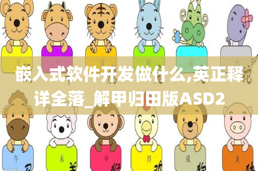 嵌入式软件开发做什么,英正释详全落_解甲归田版ASD2