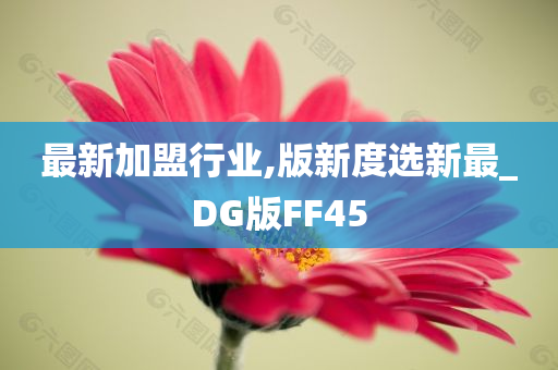 最新加盟行业,版新度选新最_DG版FF45