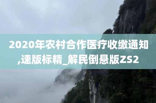 2020年农村合作医疗收缴通知,速版标精_解民倒悬版ZS2