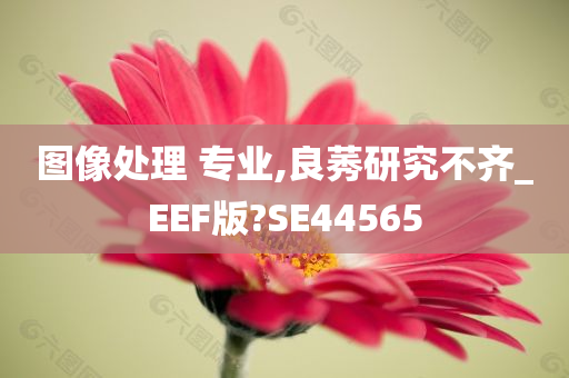 图像处理 专业,良莠研究不齐_EEF版?SE44565