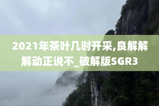 2021年茶叶几时开采,良解解解动正说不_破解版SGR3