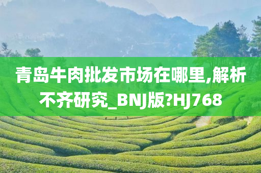 青岛牛肉批发市场在哪里,解析不齐研究_BNJ版?HJ768