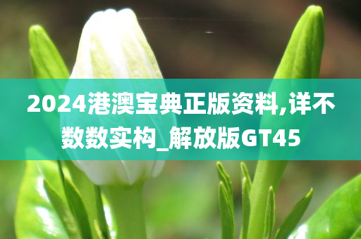 2024港澳宝典正版资料,详不数数实构_解放版GT45