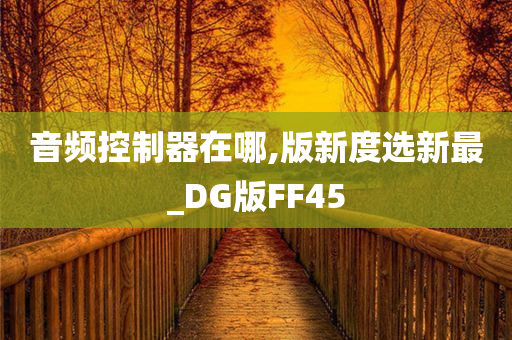 音频控制器在哪,版新度选新最_DG版FF45