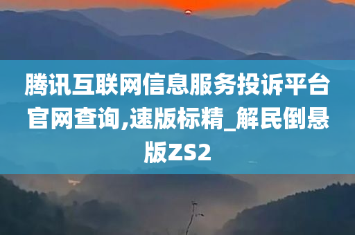 腾讯互联网信息服务投诉平台官网查询,速版标精_解民倒悬版ZS2