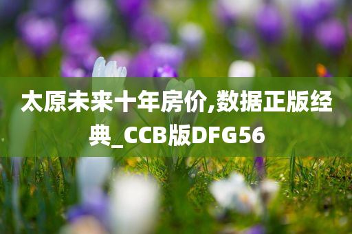 太原未来十年房价,数据正版经典_CCB版DFG56