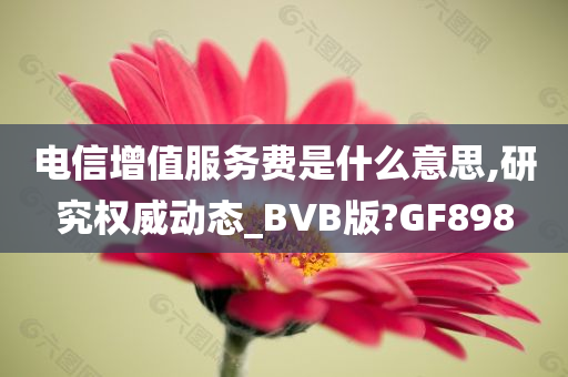 电信增值服务费是什么意思,研究权威动态_BVB版?GF898