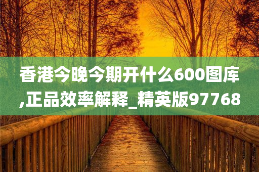 香港今晚今期开什么600图库,正品效率解释_精英版97768