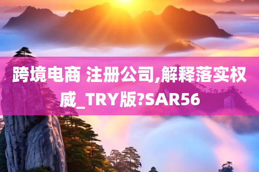 跨境电商 注册公司,解释落实权威_TRY版?SAR56