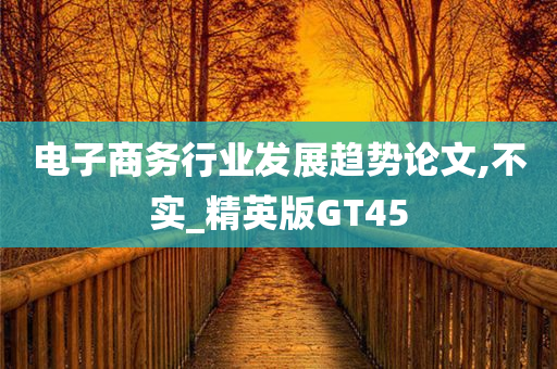 电子商务行业发展趋势论文,不实_精英版GT45