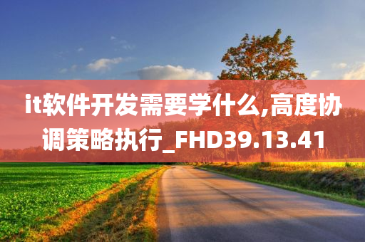 it软件开发需要学什么,高度协调策略执行_FHD39.13.41