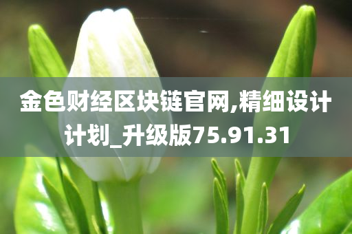 金色财经区块链官网,精细设计计划_升级版75.91.31