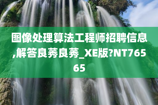 图像处理算法工程师招聘信息,解答良莠良莠_XE版?NT76565