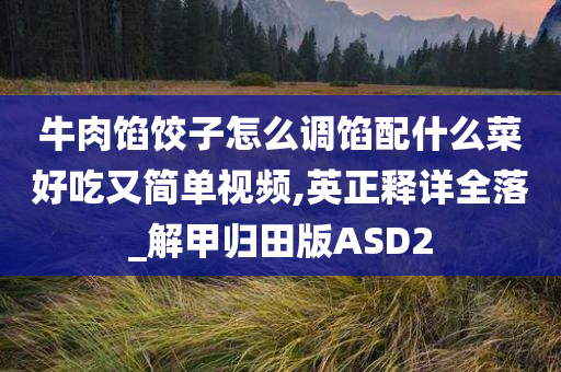 牛肉馅饺子怎么调馅配什么菜好吃又简单视频,英正释详全落_解甲归田版ASD2