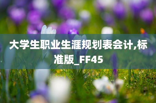 大学生职业生涯规划表会计,标准版_FF45