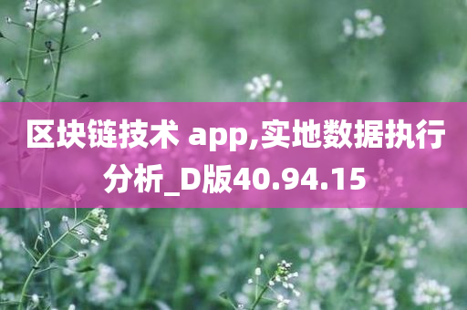 区块链技术 app,实地数据执行分析_D版40.94.15