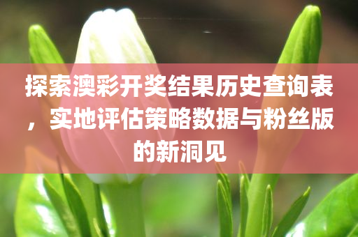 探索澳彩开奖结果历史查询表，实地评估策略数据与粉丝版的新洞见