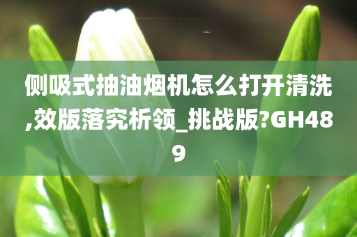 侧吸式抽油烟机怎么打开清洗,效版落究析领_挑战版?GH489