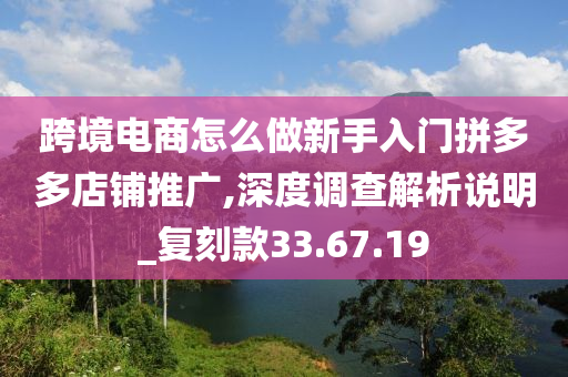 跨境电商怎么做新手入门拼多多店铺推广,深度调查解析说明_复刻款33.67.19