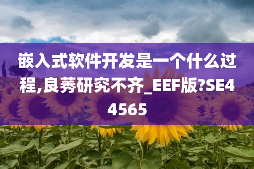 嵌入式软件开发是一个什么过程,良莠研究不齐_EEF版?SE44565