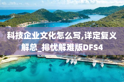 科技企业文化怎么写,详定复义解总_排忧解难版DFS4