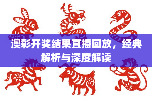 澳彩开奖结果直播回放，经典解析与深度解读