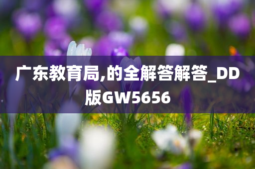 广东教育局,的全解答解答_DD版GW5656