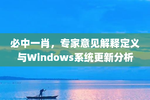 必中一肖，专家意见解释定义与Windows系统更新分析