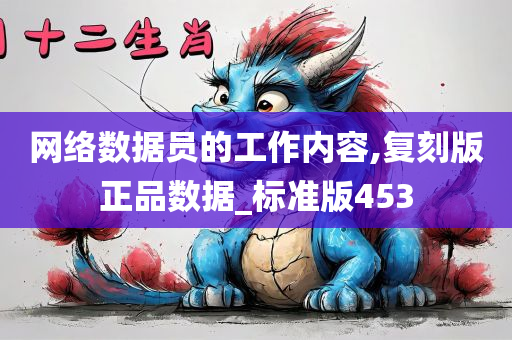 网络数据员的工作内容,复刻版正品数据_标准版453