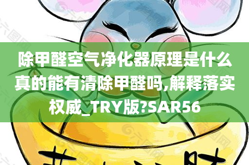 除甲醛空气净化器原理是什么真的能有清除甲醛吗,解释落实权威_TRY版?SAR56