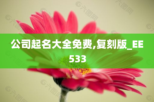 公司起名大全免费,复刻版_EE533