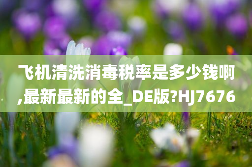 飞机清洗消毒税率是多少钱啊,最新最新的全_DE版?HJ7676