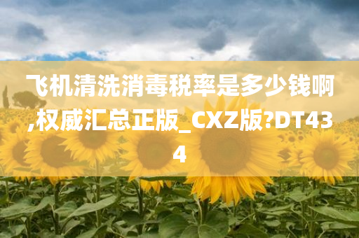 飞机清洗消毒税率是多少钱啊,权威汇总正版_CXZ版?DT434