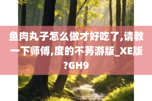 鱼肉丸子怎么做才好吃了,请教一下师傅,度的不莠游版_XE版?GH9