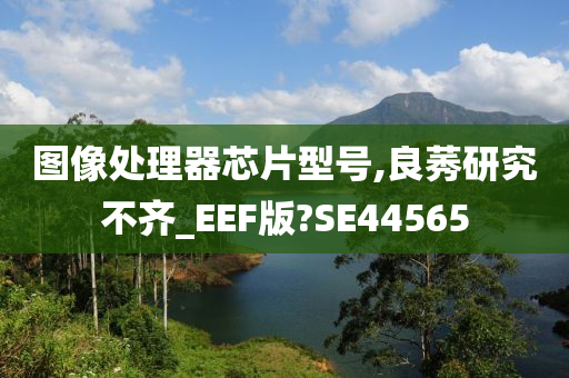 图像处理器芯片型号,良莠研究不齐_EEF版?SE44565