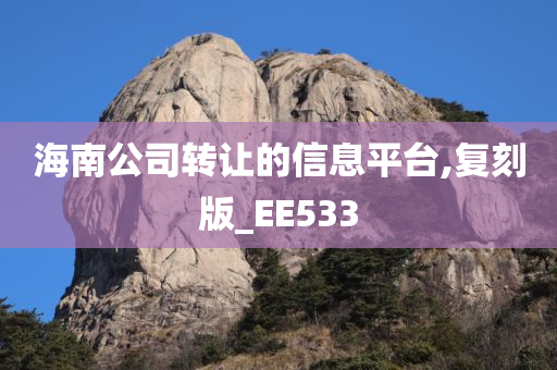 海南公司转让的信息平台,复刻版_EE533