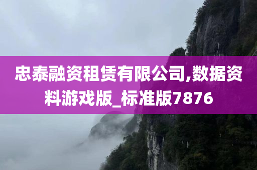 忠泰融资租赁有限公司,数据资料游戏版_标准版7876