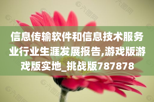 信息传输软件和信息技术服务业行业生涯发展报告,游戏版游戏版实地_挑战版787878