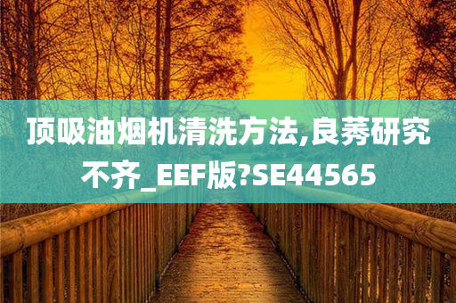 顶吸油烟机清洗方法,良莠研究不齐_EEF版?SE44565