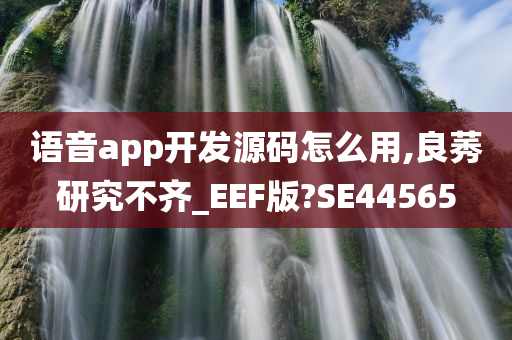 语音app开发源码怎么用,良莠研究不齐_EEF版?SE44565