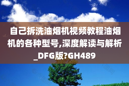 自己拆洗油烟机视频教程油烟机的各种型号,深度解读与解析_DFG版?GH489