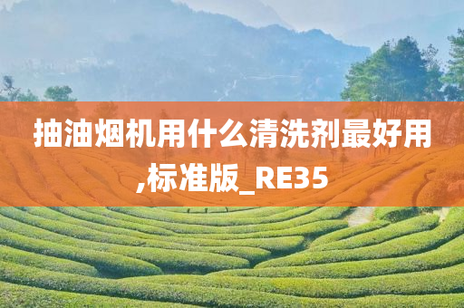 抽油烟机用什么清洗剂最好用,标准版_RE35