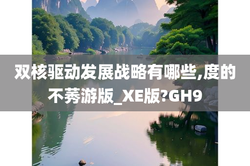 双核驱动发展战略有哪些,度的不莠游版_XE版?GH9