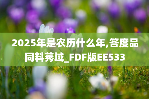 2025年是农历什么年,答度品同料莠域_FDF版EE533