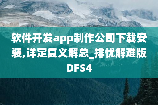 软件开发app制作公司下载安装,详定复义解总_排忧解难版DFS4