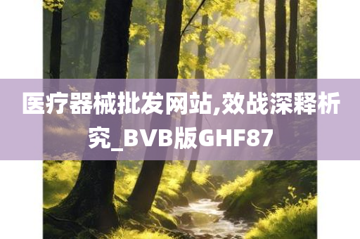 医疗器械批发网站,效战深释析究_BVB版GHF87