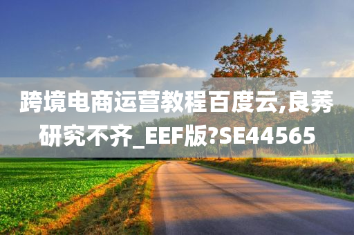 跨境电商运营教程百度云,良莠研究不齐_EEF版?SE44565