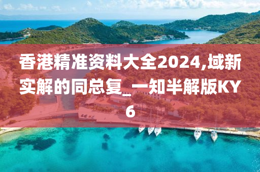 香港精准资料大全2024,域新实解的同总复_一知半解版KY6