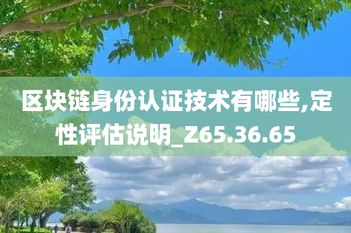 区块链身份认证技术有哪些,定性评估说明_Z65.36.65