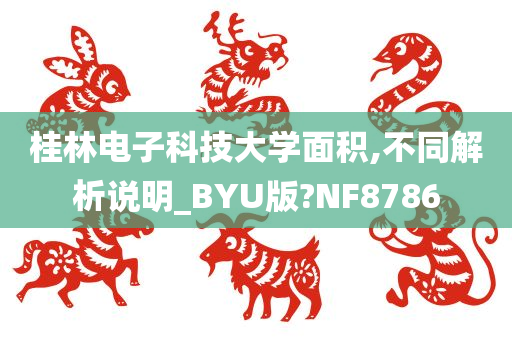 桂林电子科技大学面积,不同解析说明_BYU版?NF8786